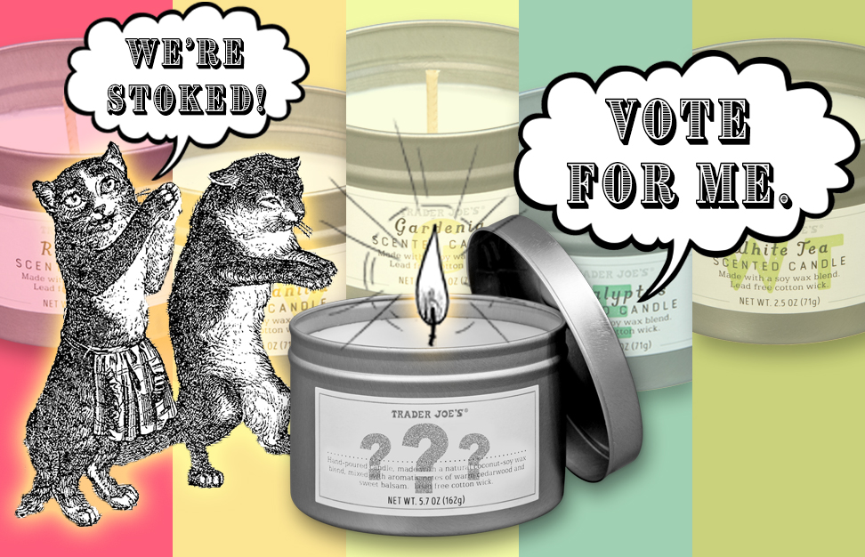 Two cartoon cats carrying a candle next to a large image of a Trader Joe's Scented Candle labeled with question marks on its label; candle is saying 'Vote for Me.'